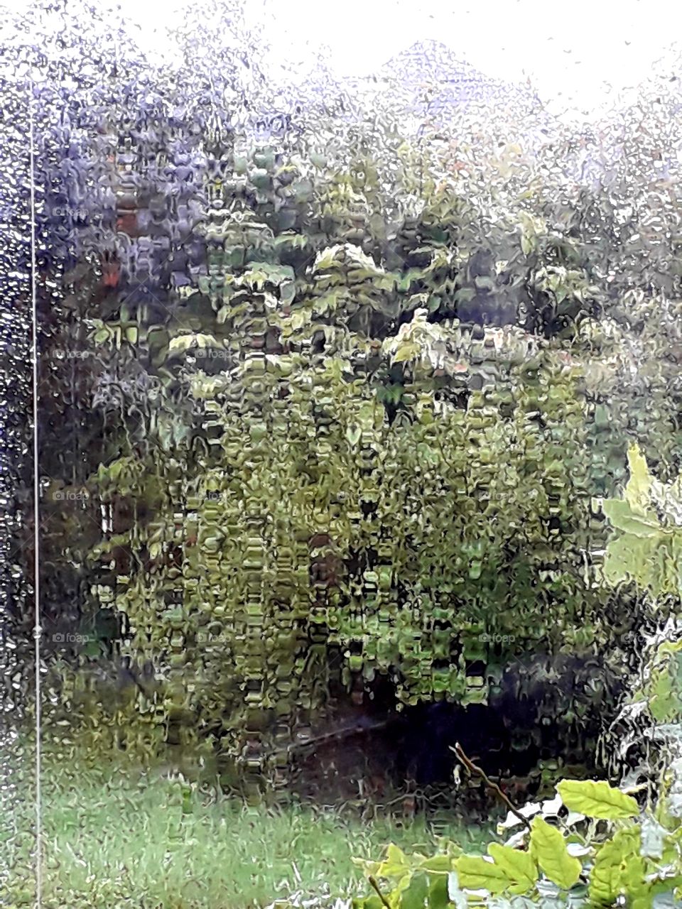 rainy autumn garden seen through the window