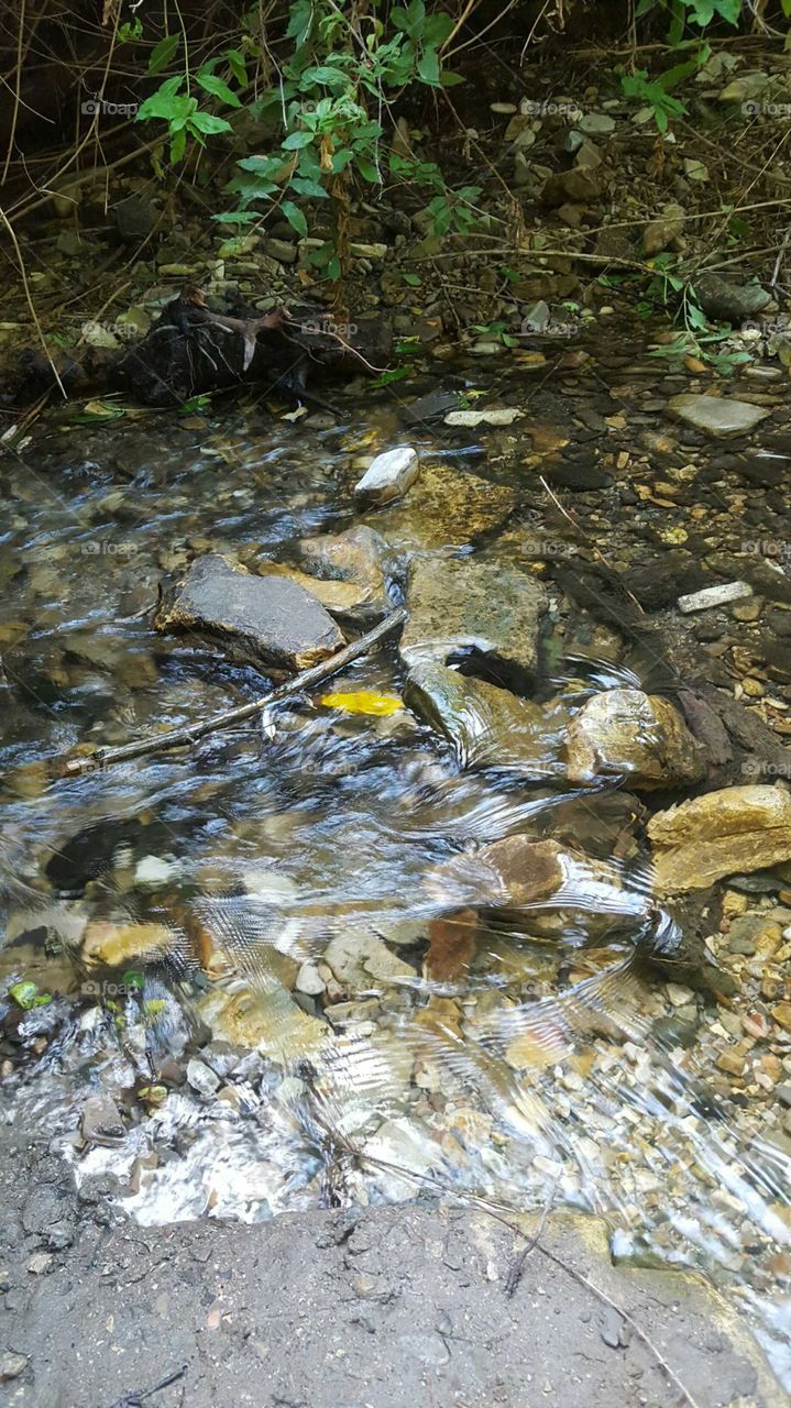 Calming and colorful stream near Montaña de Oro