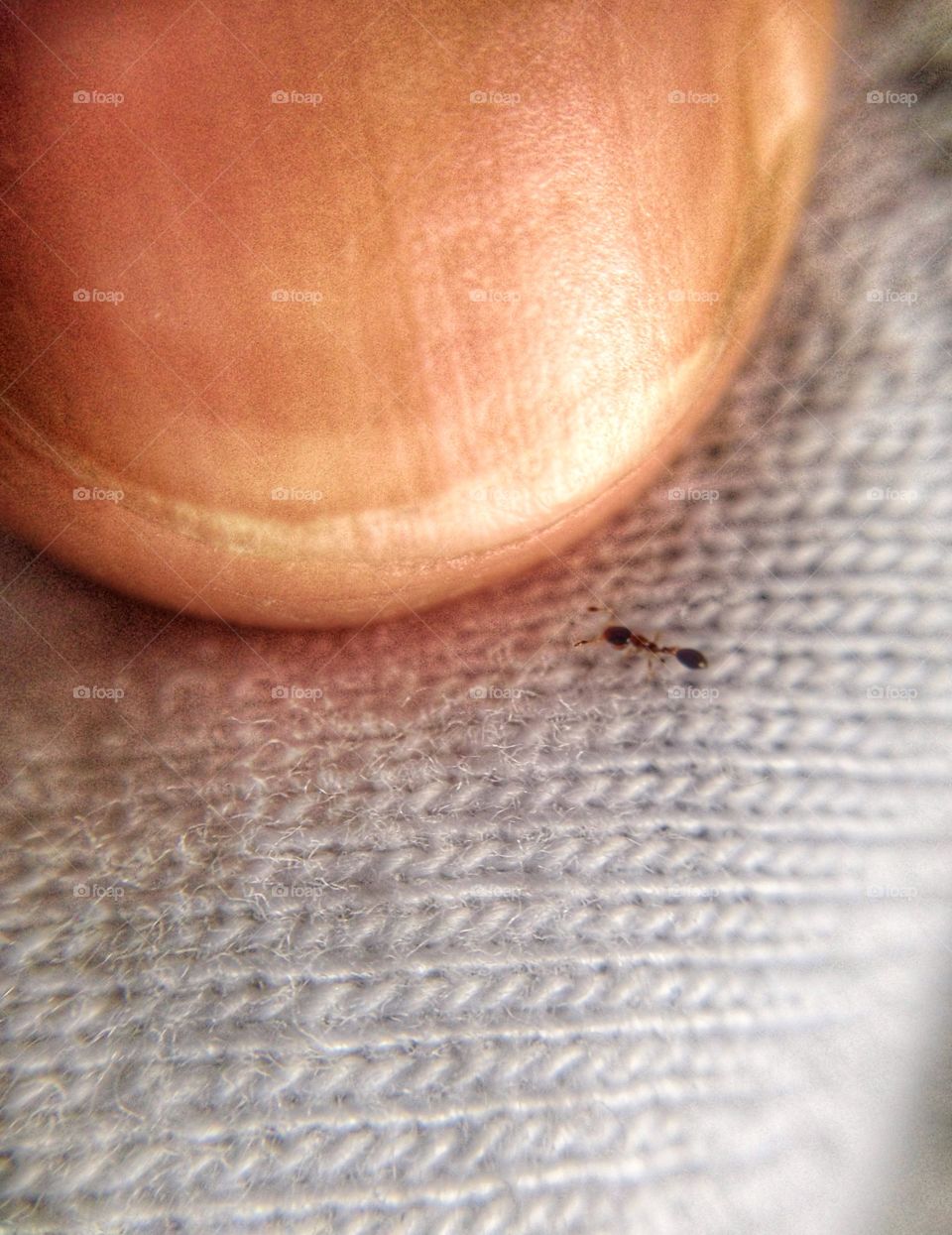 Small thing in the world