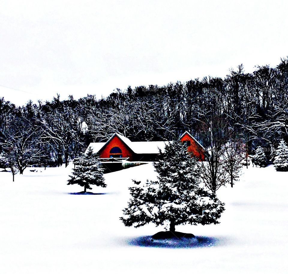 Cabin in the snow !