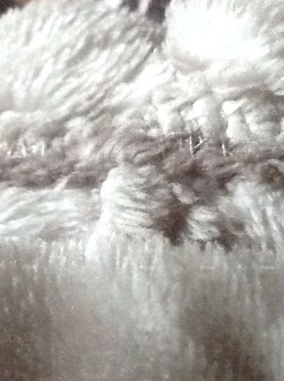 Fibers from a blanket for texture.