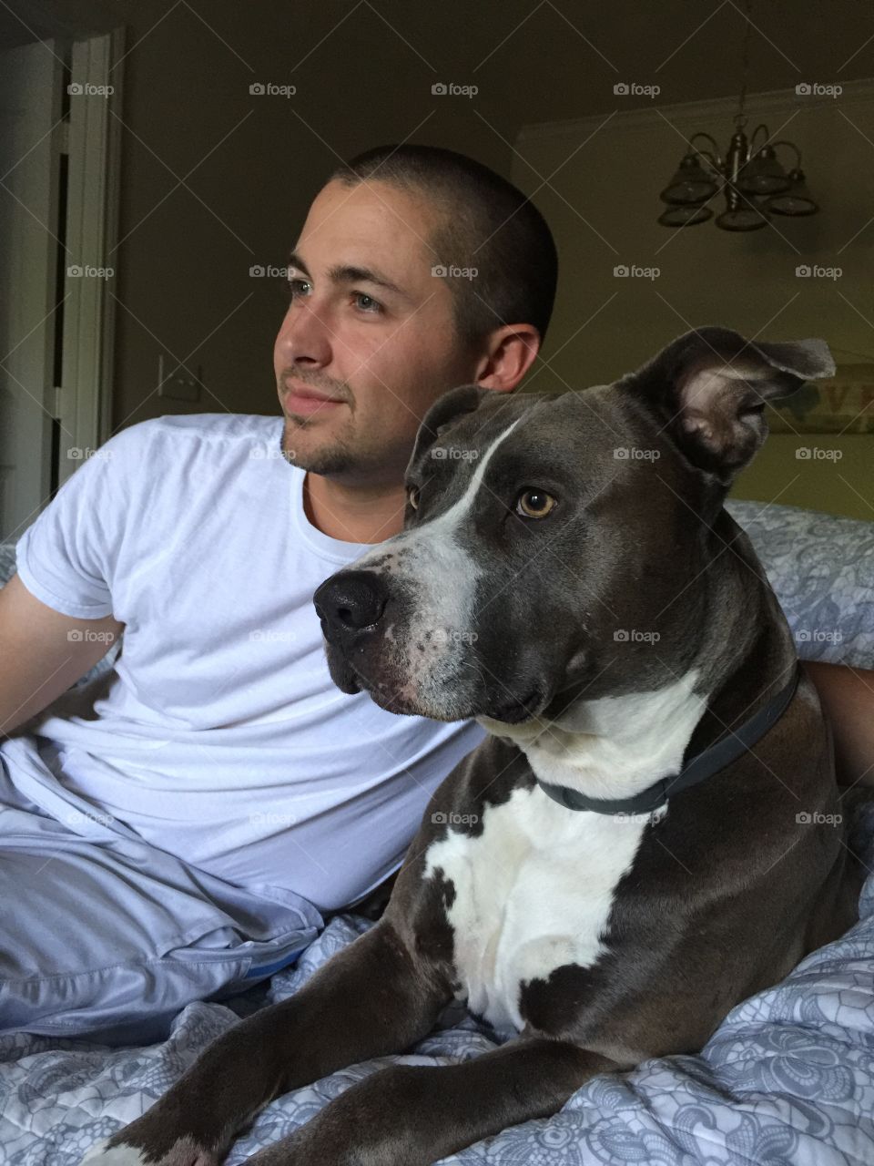 Young man and dog sitting on bed