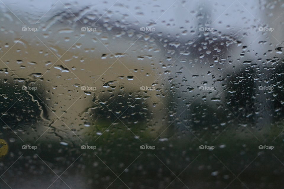 When it's raining and you can't take photos outside