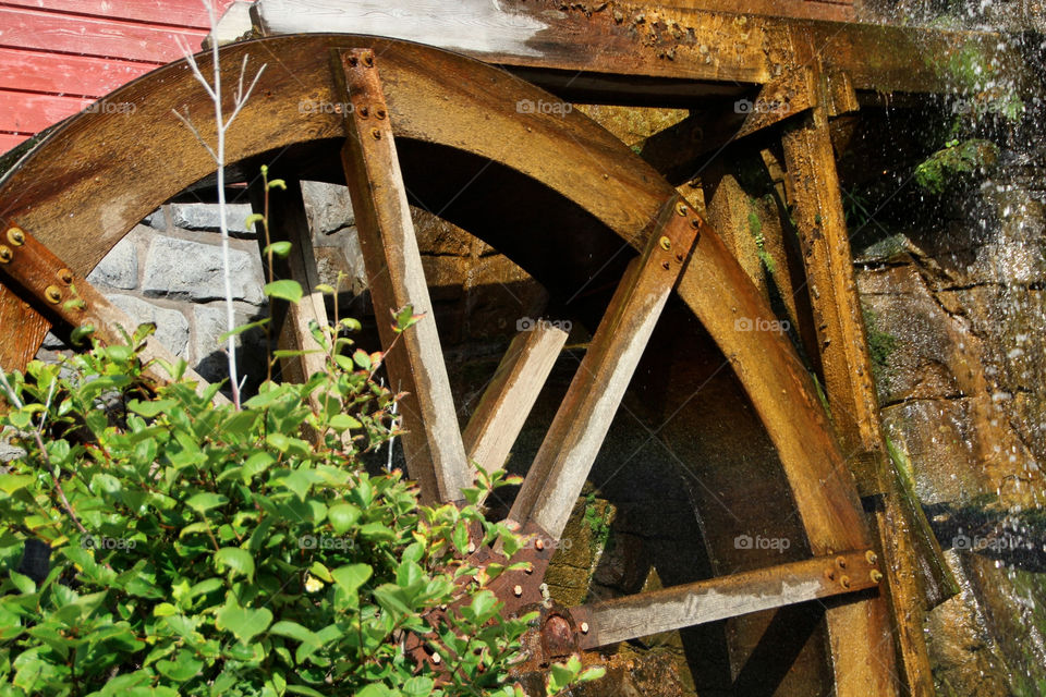 green plants wheels watermill by stef79