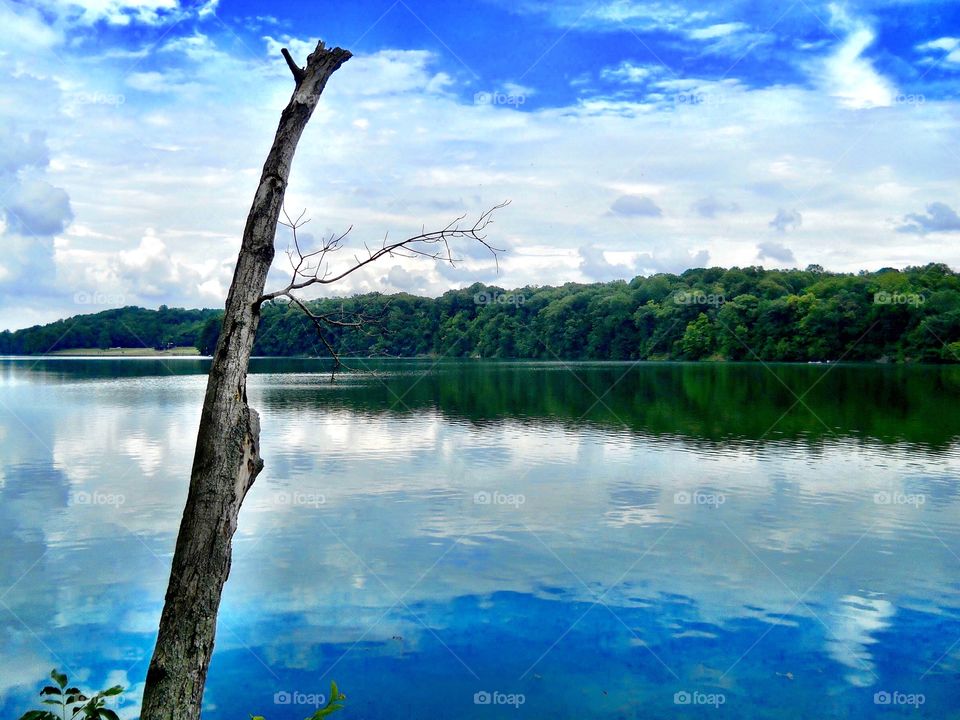 Clouds and sky in the lake. 