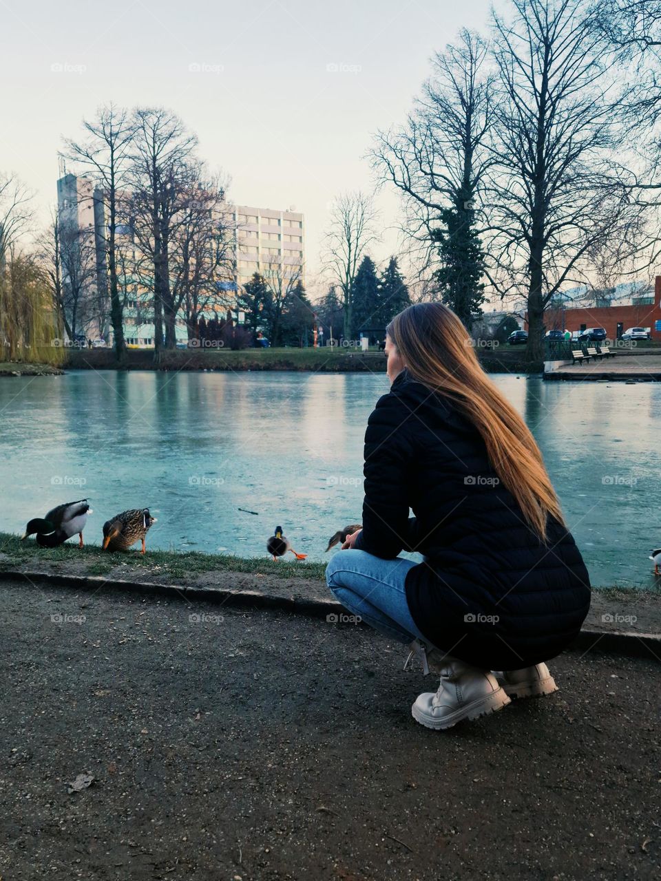 the girl feeds the wild ducks