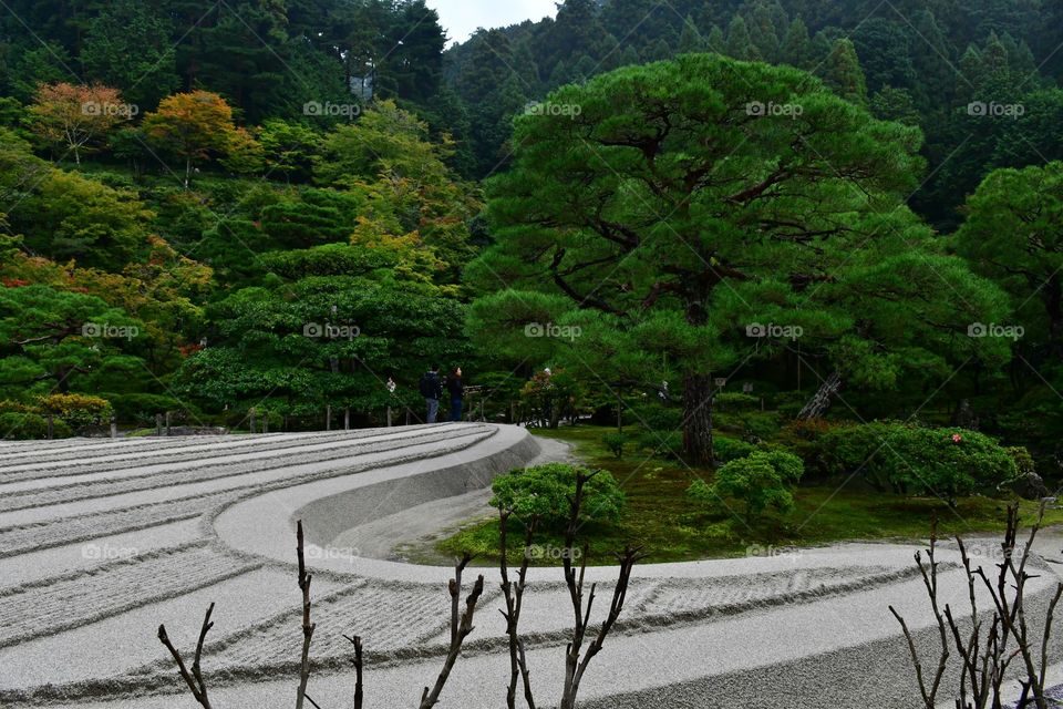 Japanese garden