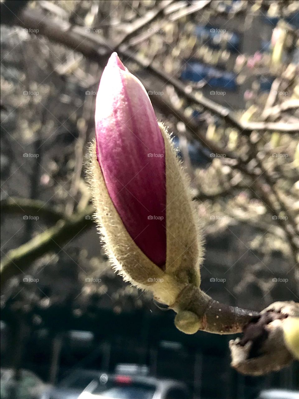Spring is coming 