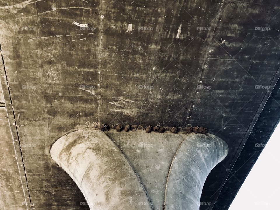 Occupants under the bridge 