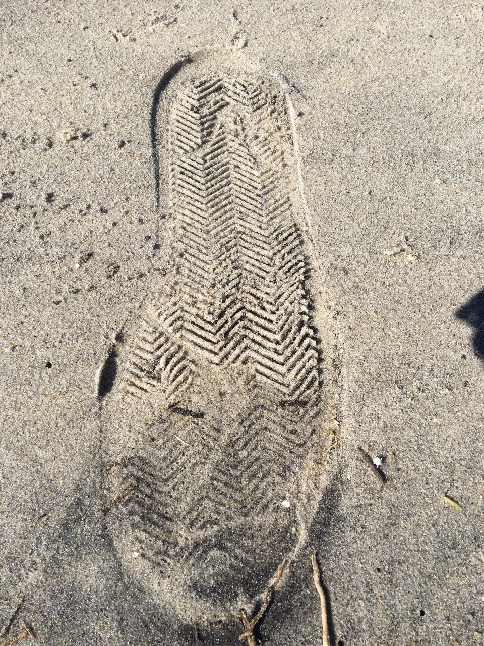 Footprint on Summer 
