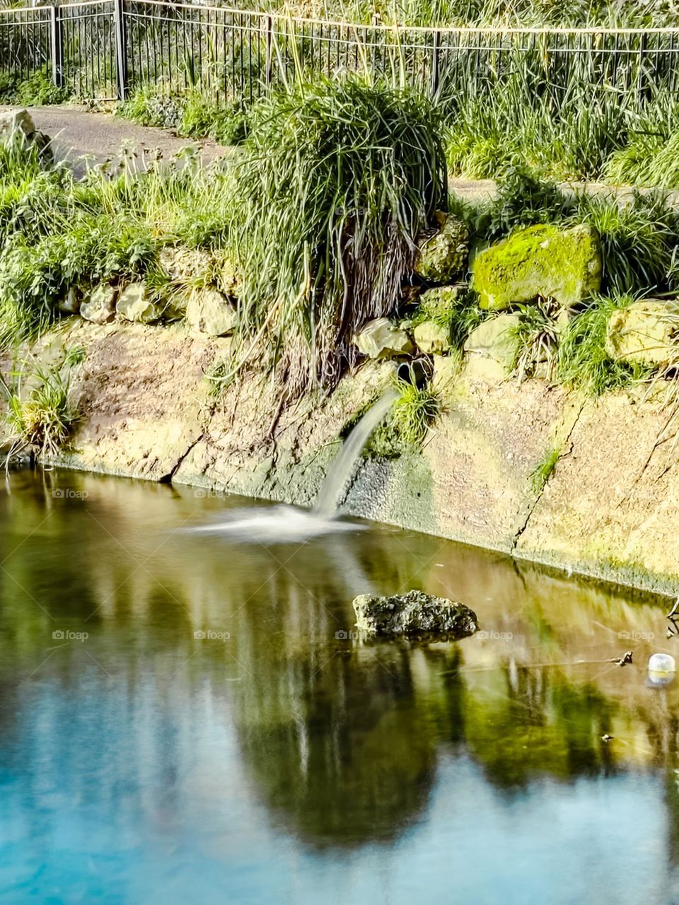 Calm and peaceful pond water flowing tranquilly 