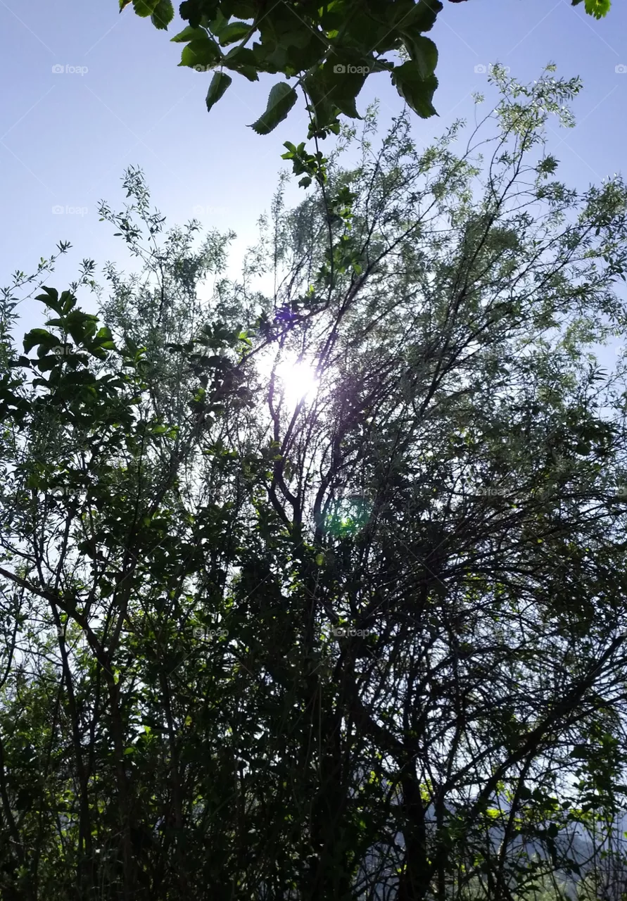 sun shine
