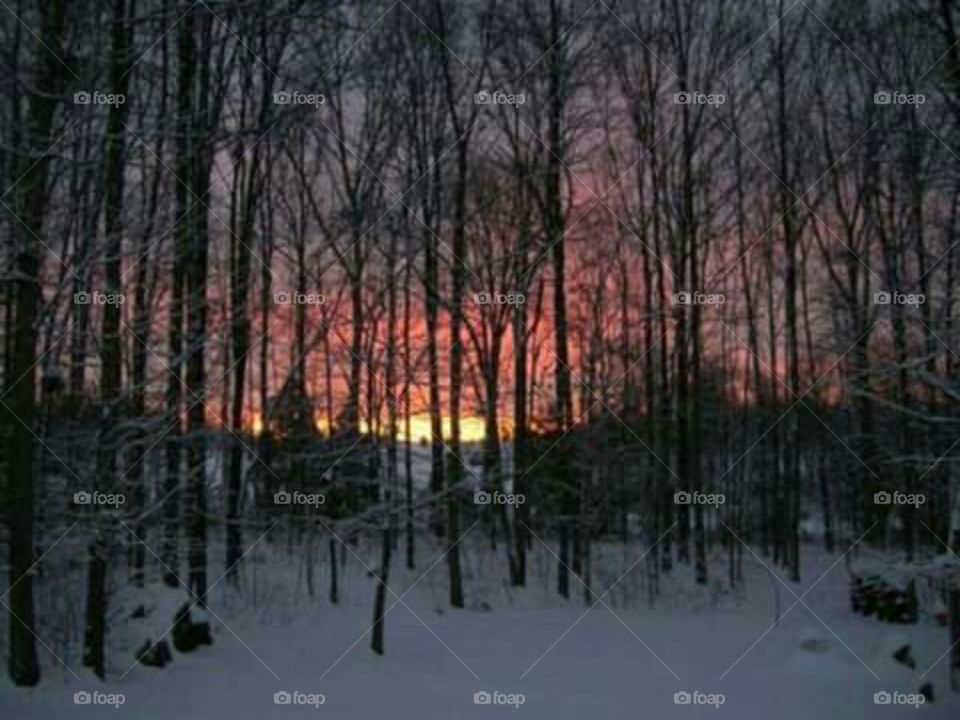 Winter Evening Deep Colors