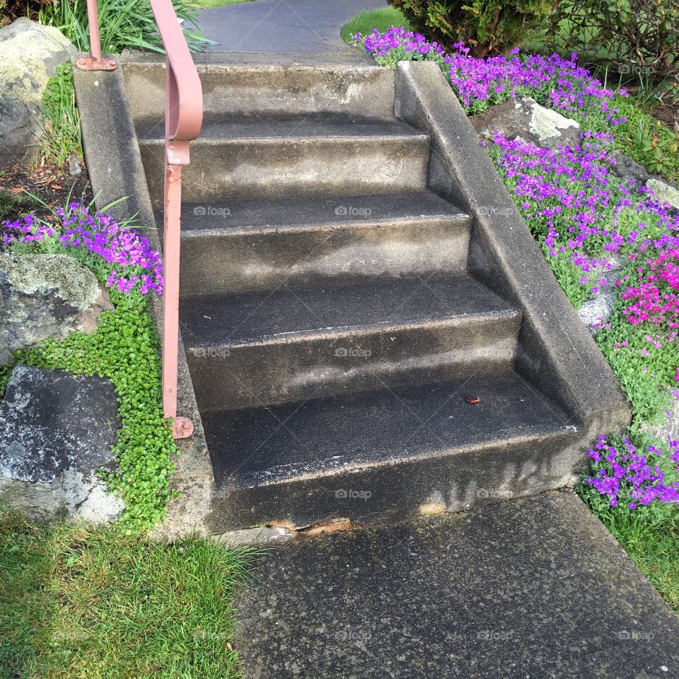 Flowery steps