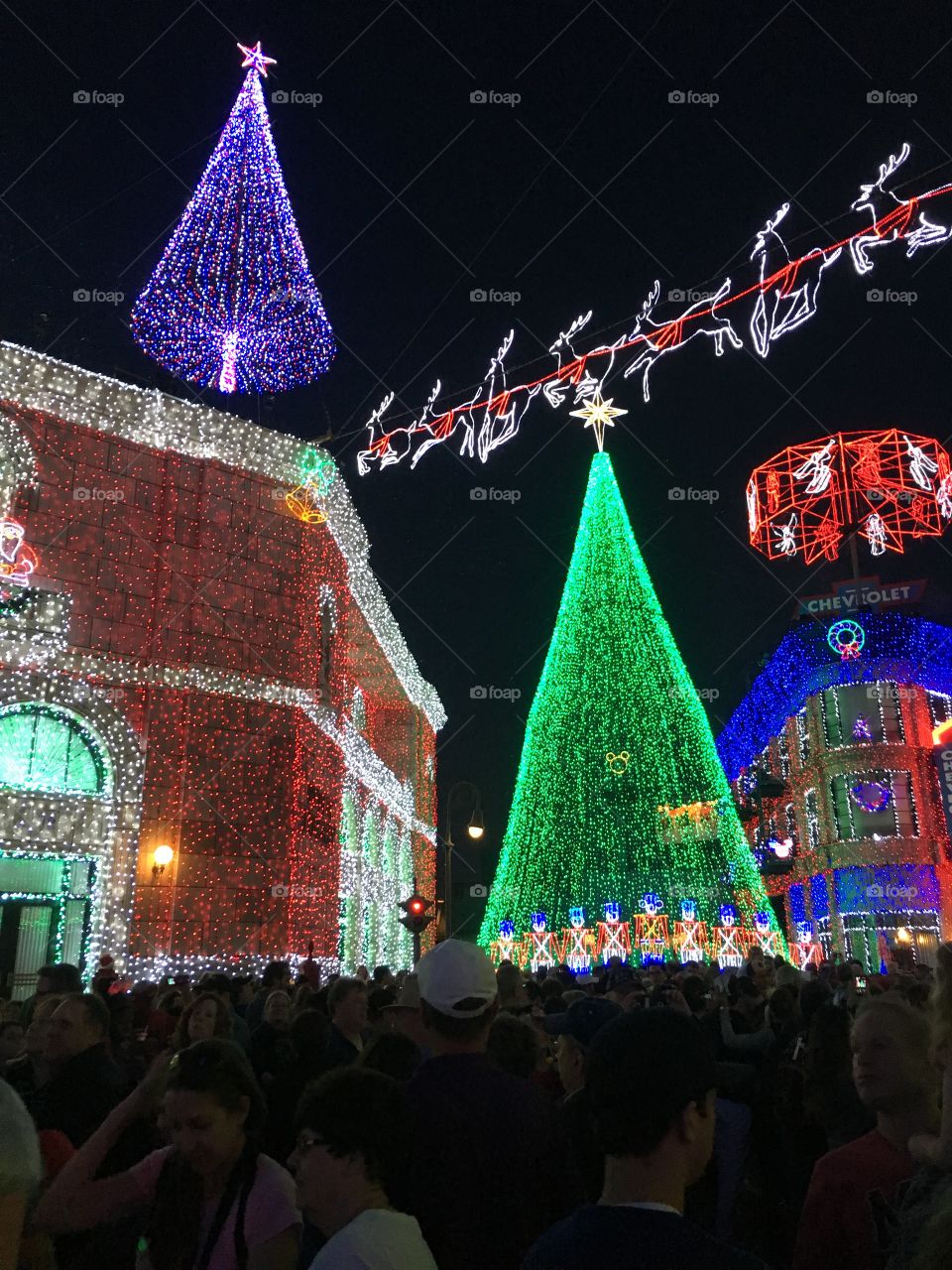 Christmas lights at Hollywood Studios at Walt Disney World in Orlando, Florida
