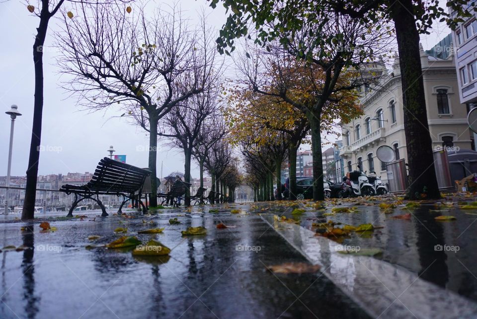 Autumn#rain#leaves