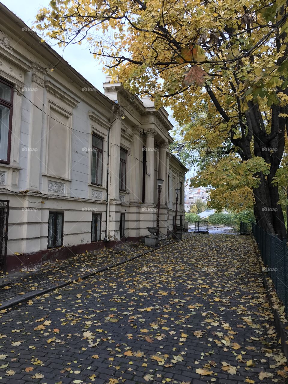 Florescu - Manu House, Calea Victoriei, Bucharest, completed in 1852 and bought by the founder and organizer of the Romanian Army General Ioan Emanoil Florescu, a beautiful french neo-classical style building