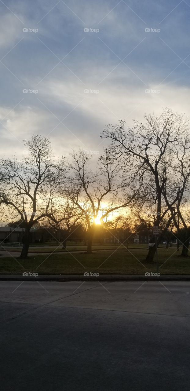 The sun going down in the west..of the Pecan trees..