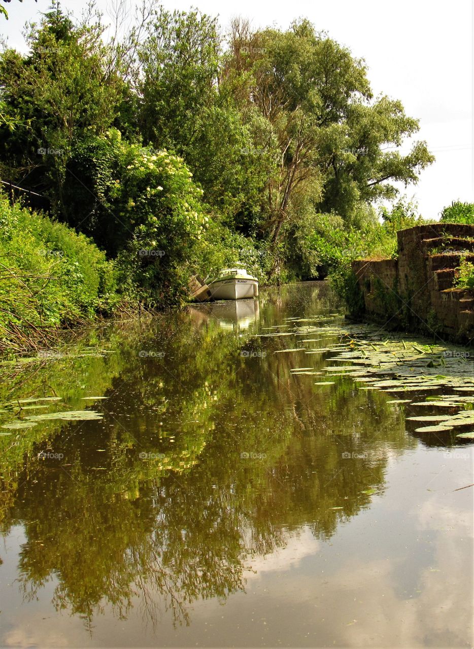 Marais de Saint Omer