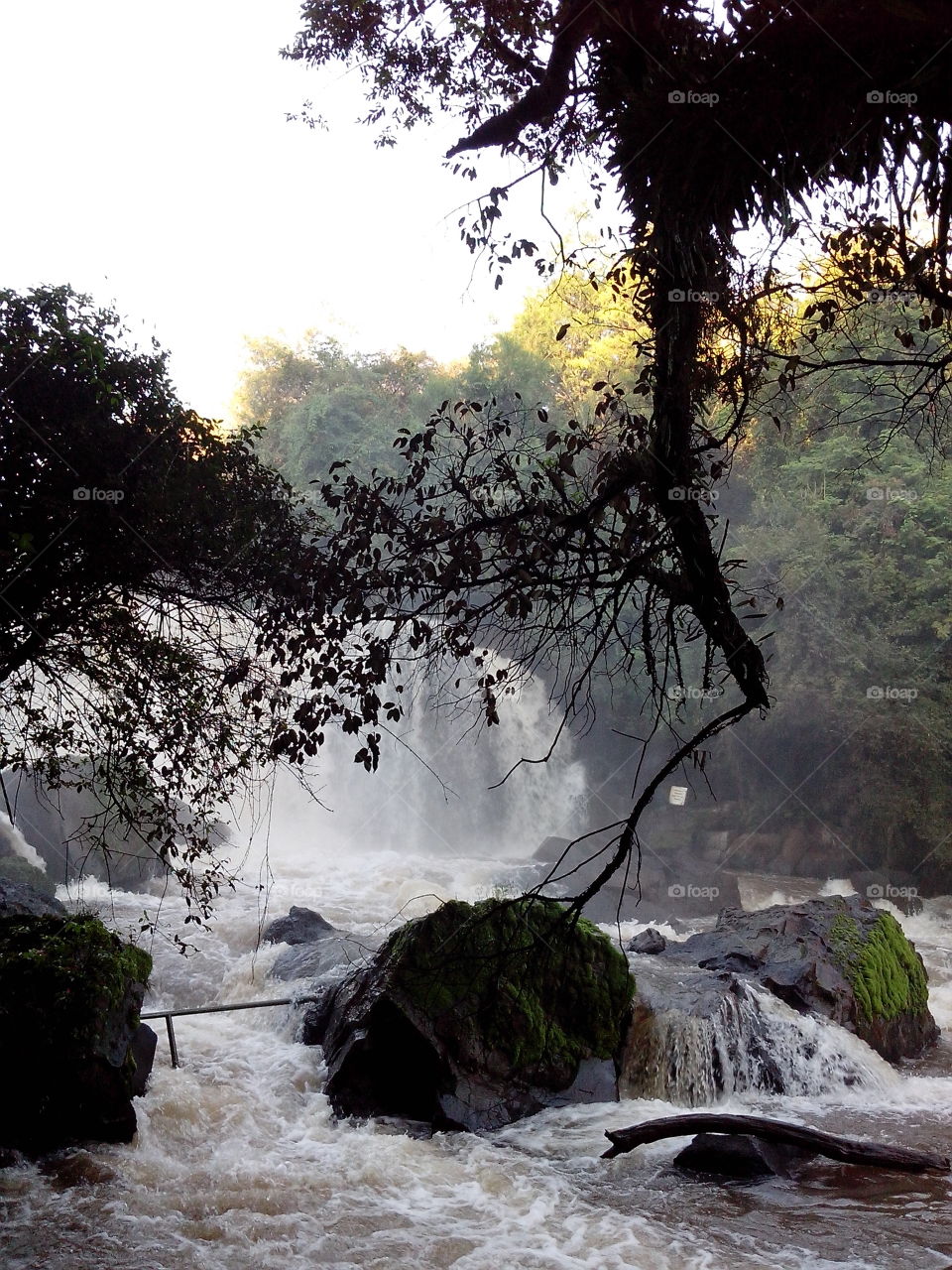 Scenic view of waterfall