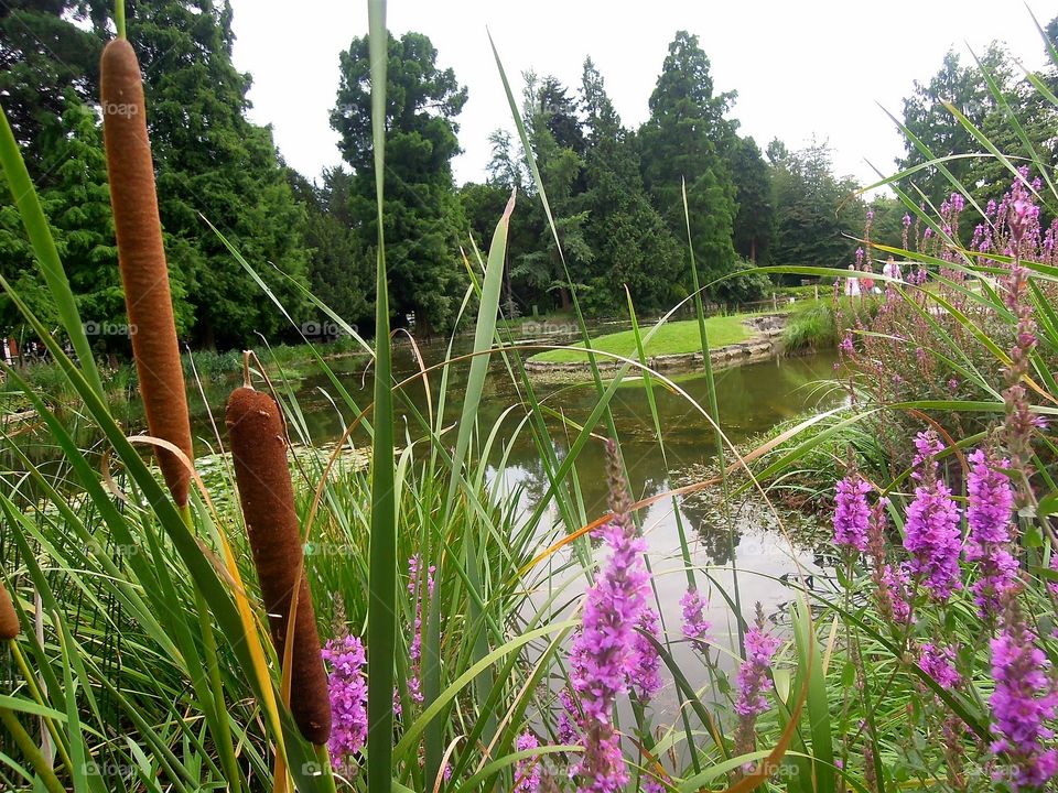 Romantischer Platz im Park mit Pflanzen
