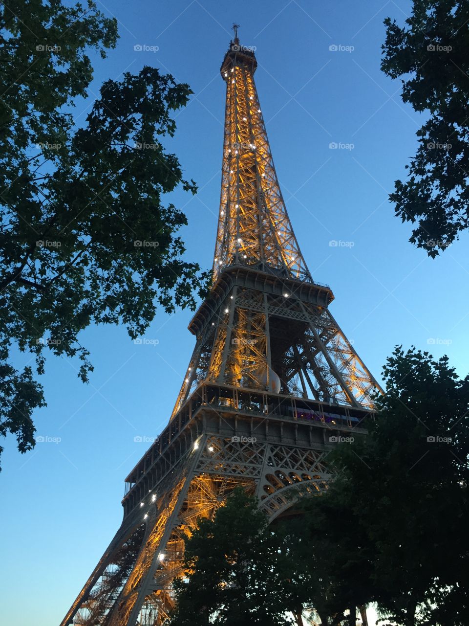 Eiffel Tower 