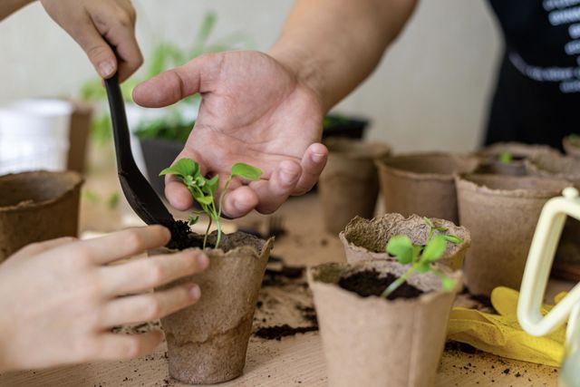 Home gardening, hands in frame man and child growing plants in eco ponds 