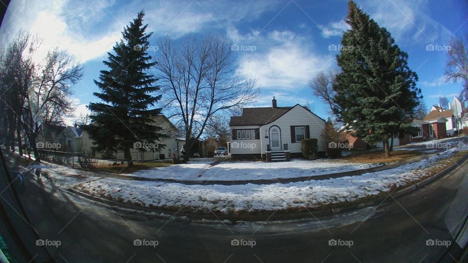 No Person, Tree, Snow, Winter, House