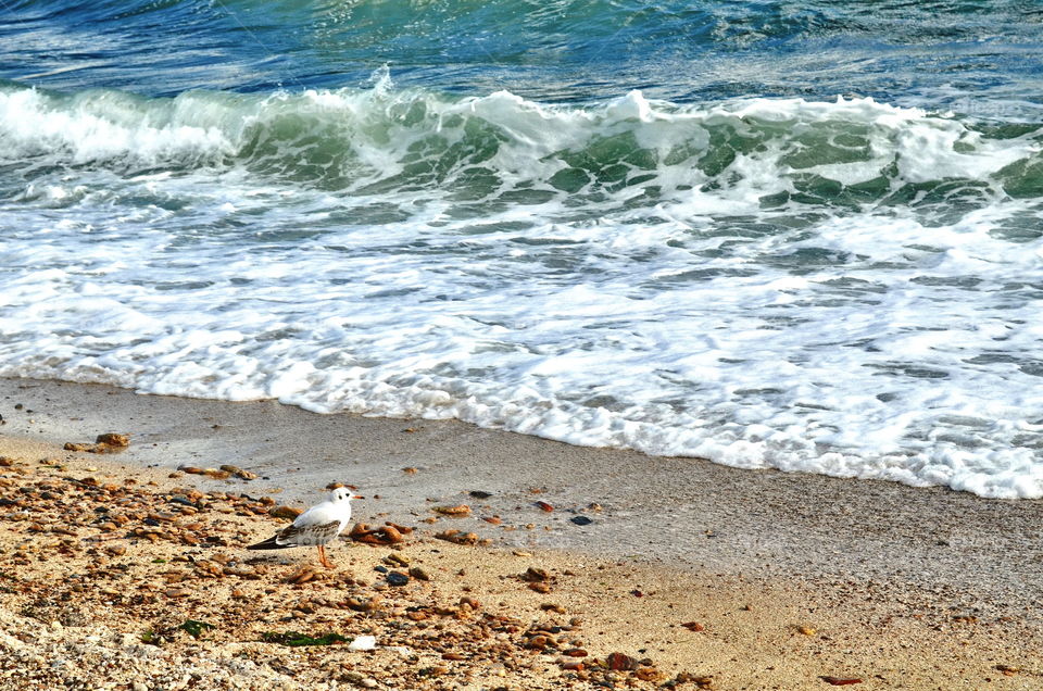 What if such a weather will be for ever and ever? 😎