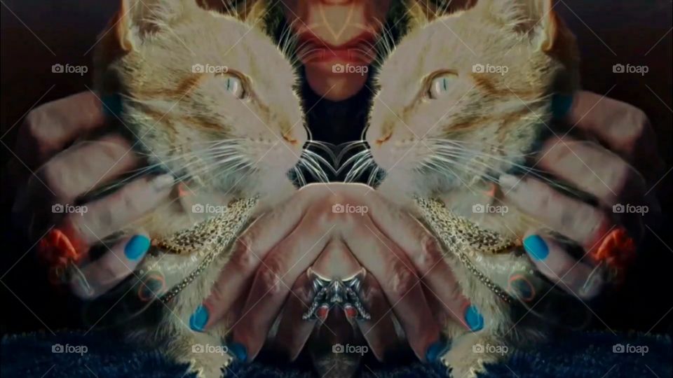 Bad Guy Kitty (YouTube search Fairy Frequency ASMR)