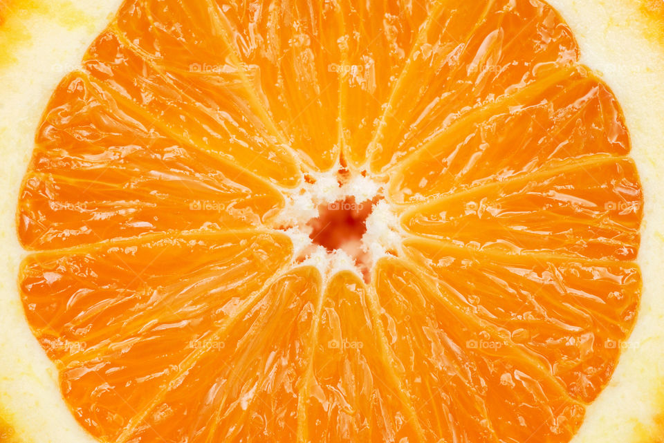 Slice of fresh orange