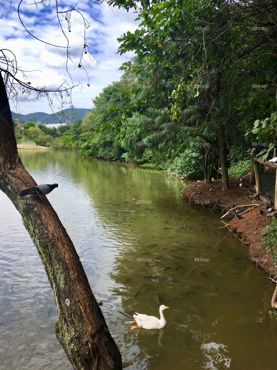 Um dia gostoso no Parque Botânico - tudo em família e com muito verde. Assim vale a pena ser feliz!