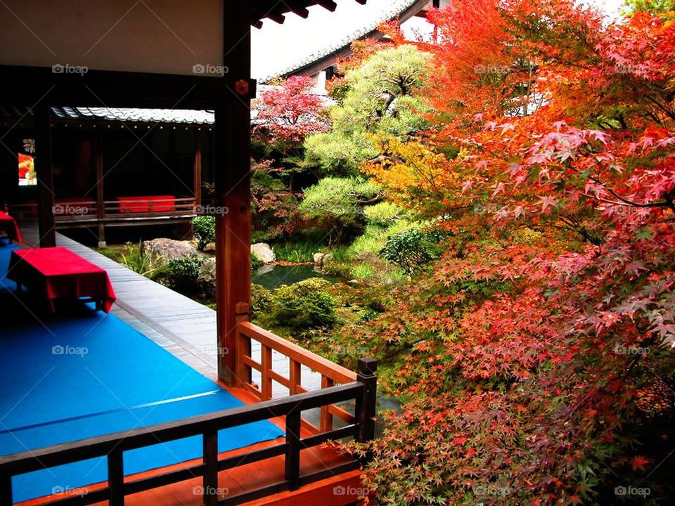 autumn in Kyoto