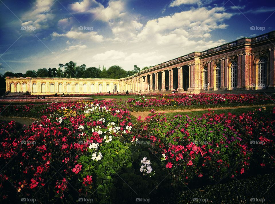 Palace of Versailles - Ile-de-France Paris France