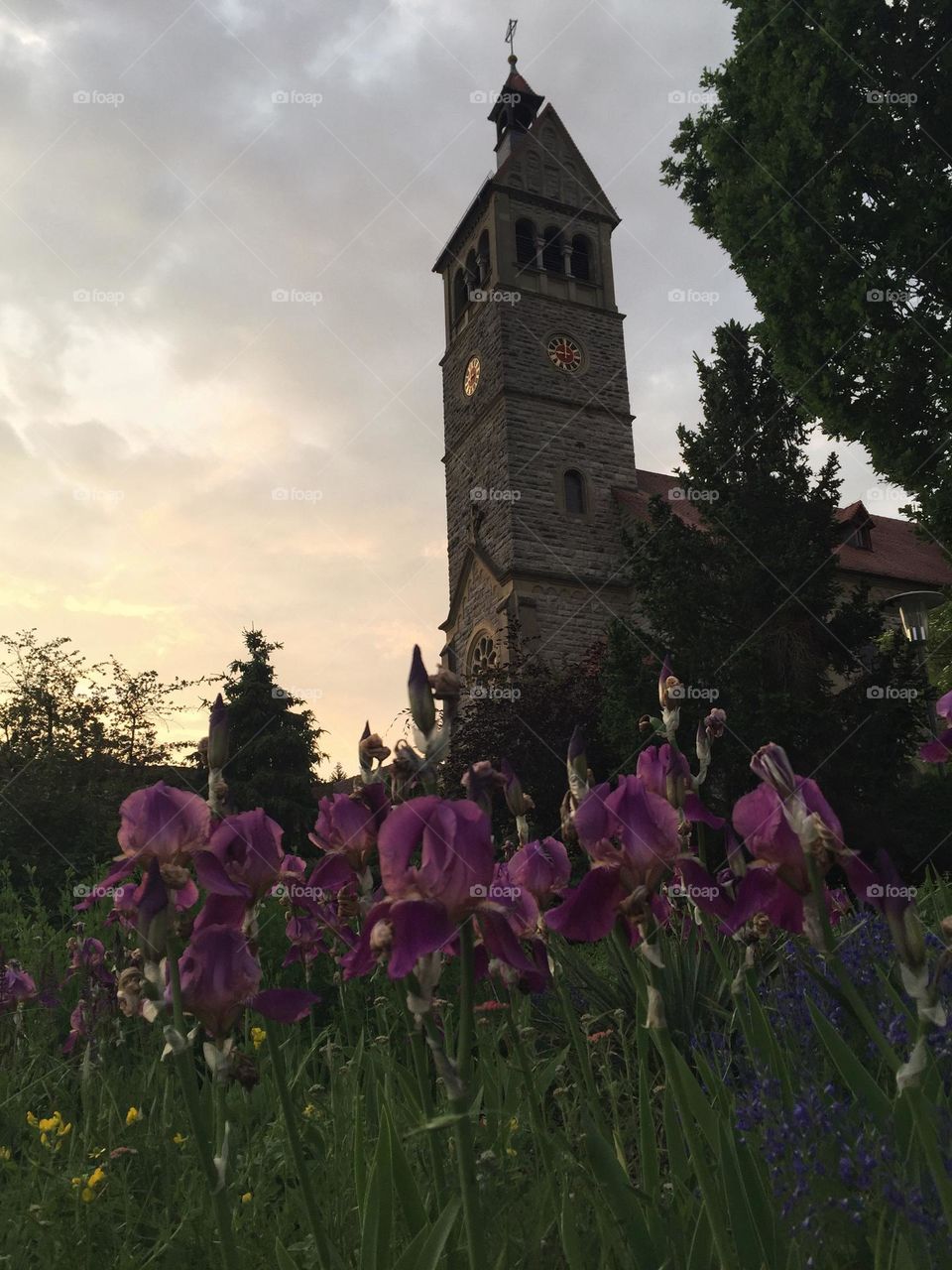 Town church with iris and sunset in the background.
