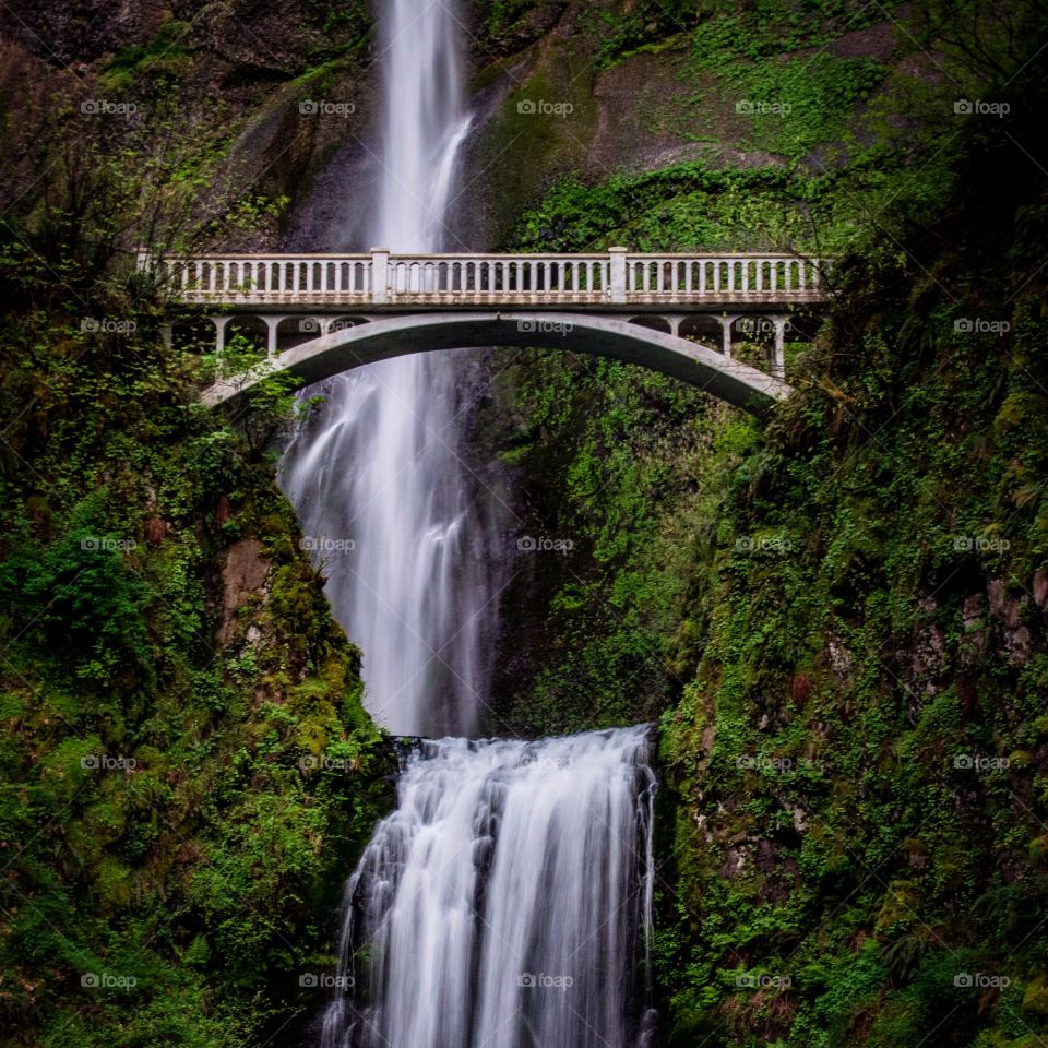 Scenic view of waterfall