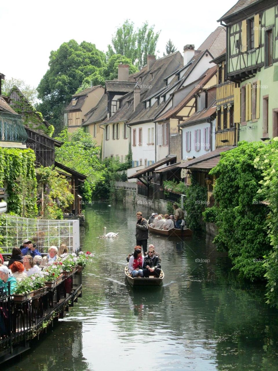 Colmar