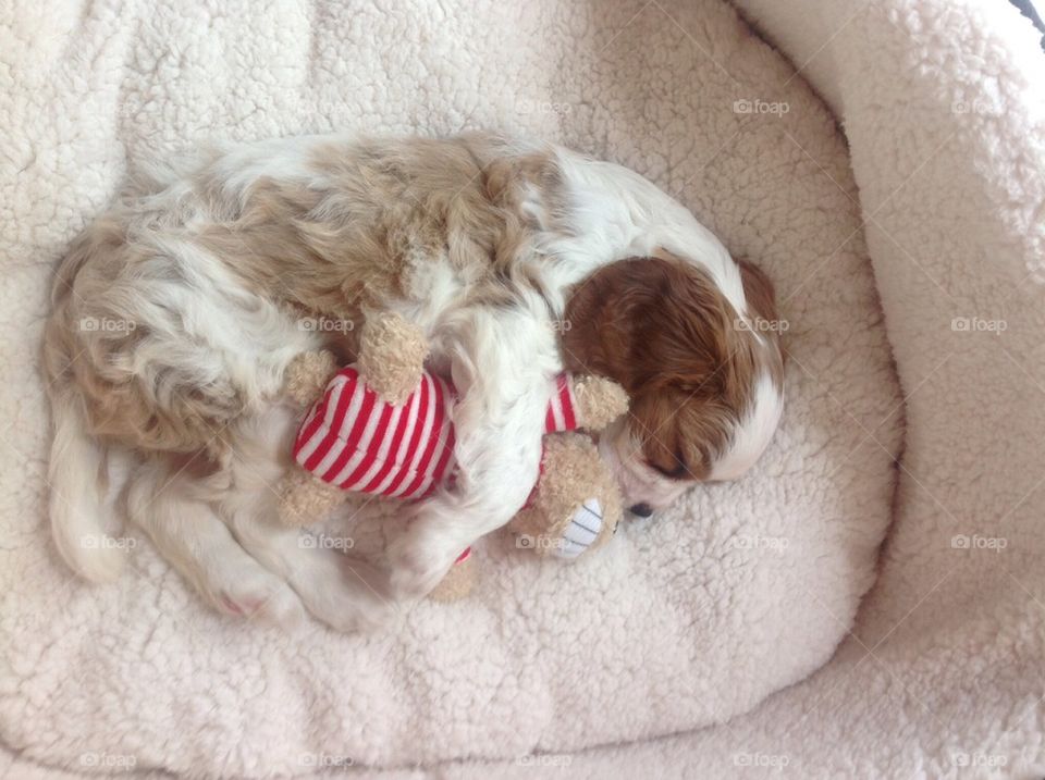 Sleeping like a baby