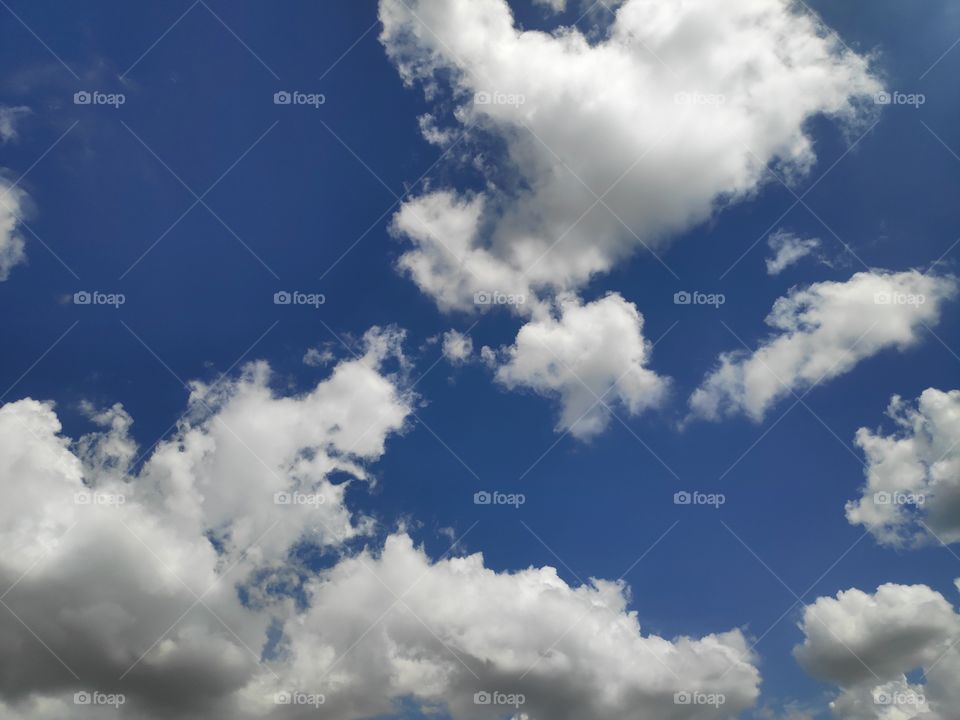 a image of white and blue