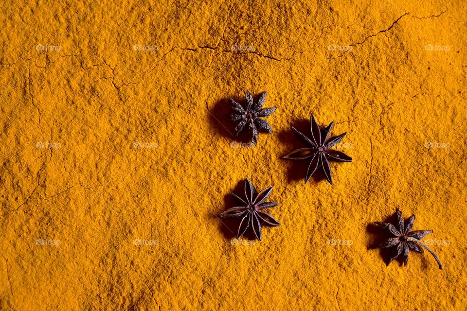 star anise in turmeric powder