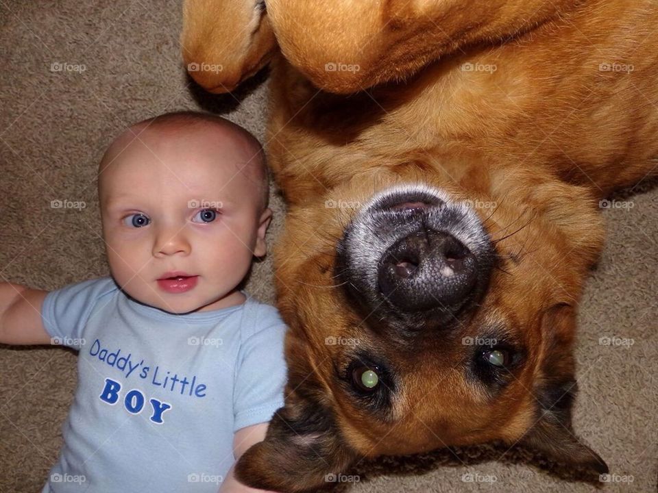 Baby with pet