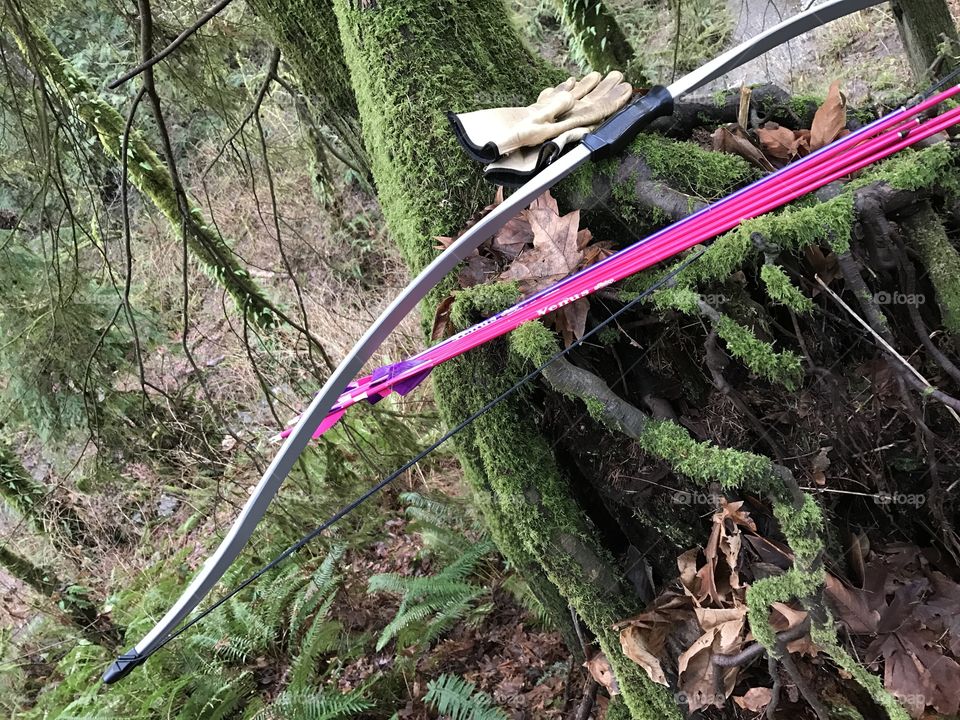 Bow, arrows, and leather gloves resting on a stump in the forest 