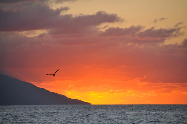 sunset