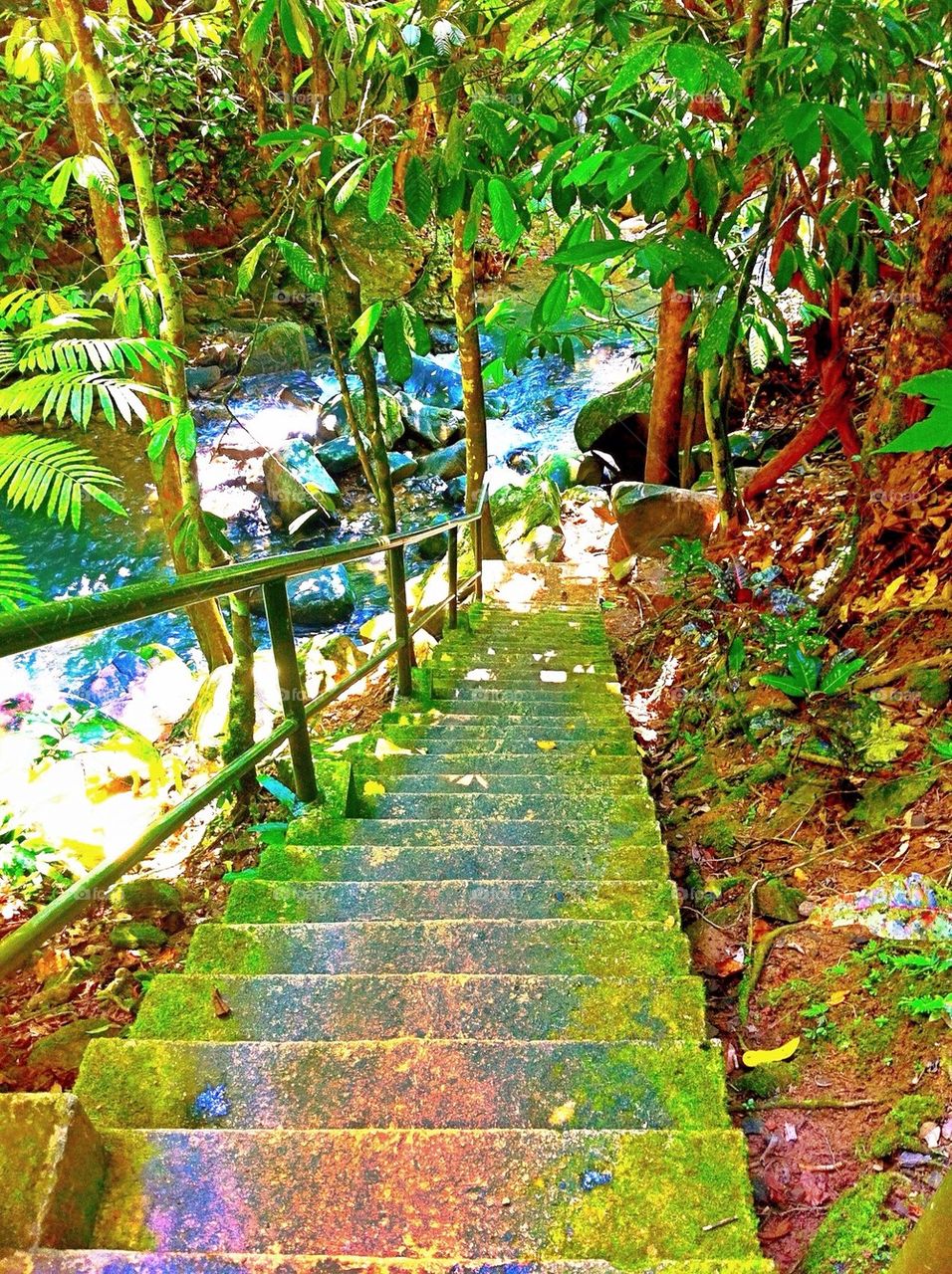 Stairway to waterfall