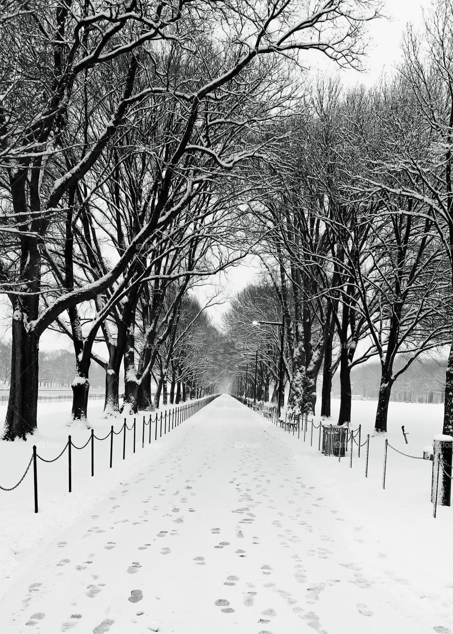 Snow-covered Path