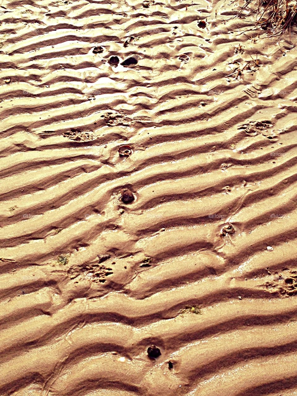 Footprints Of The Tide