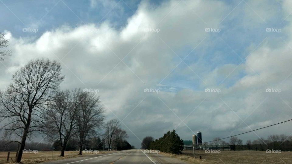 Landscape, Tree, Sky, Nature, Weather
