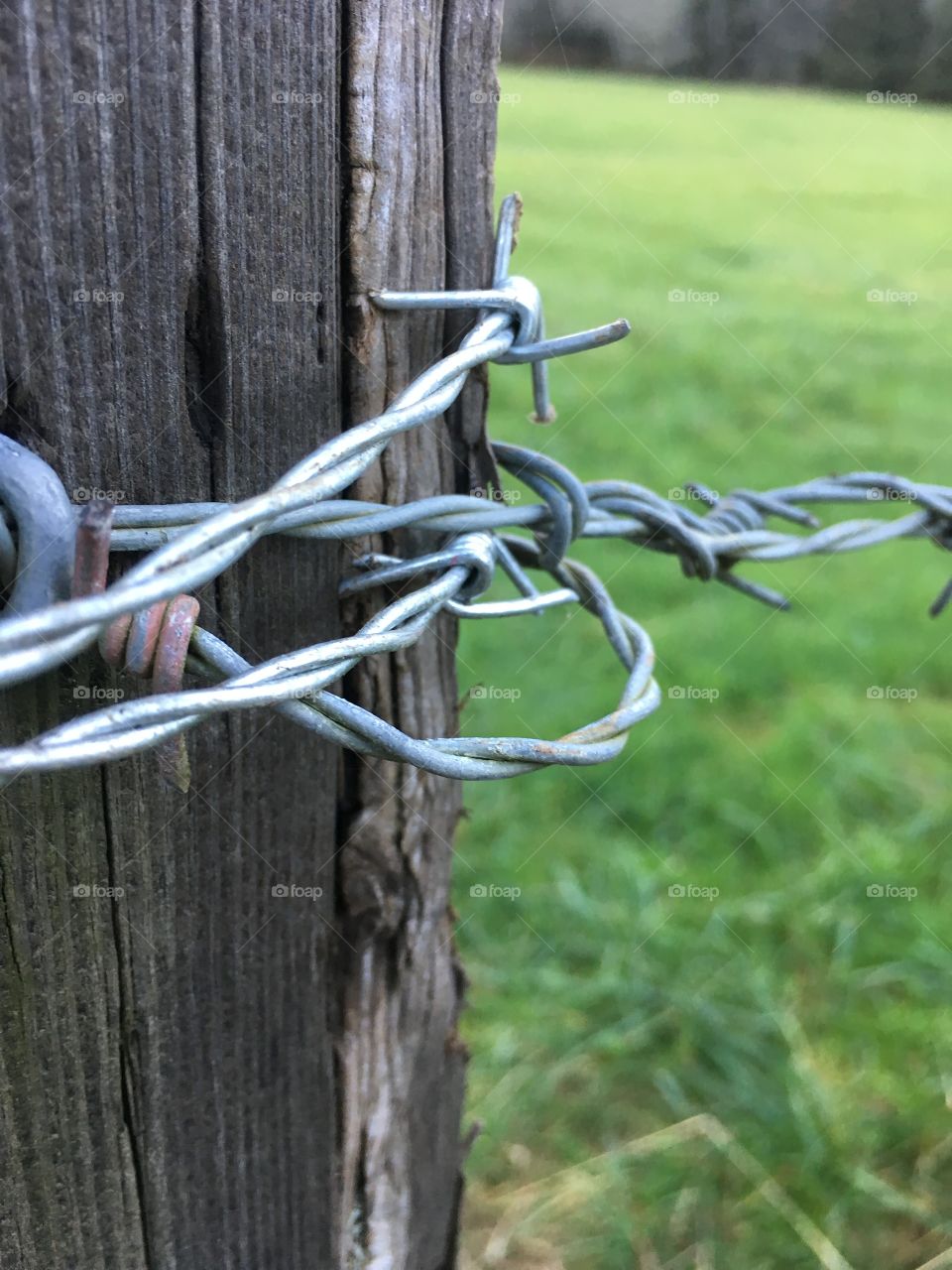 Wood, Fence, No Person, Nature, Wooden