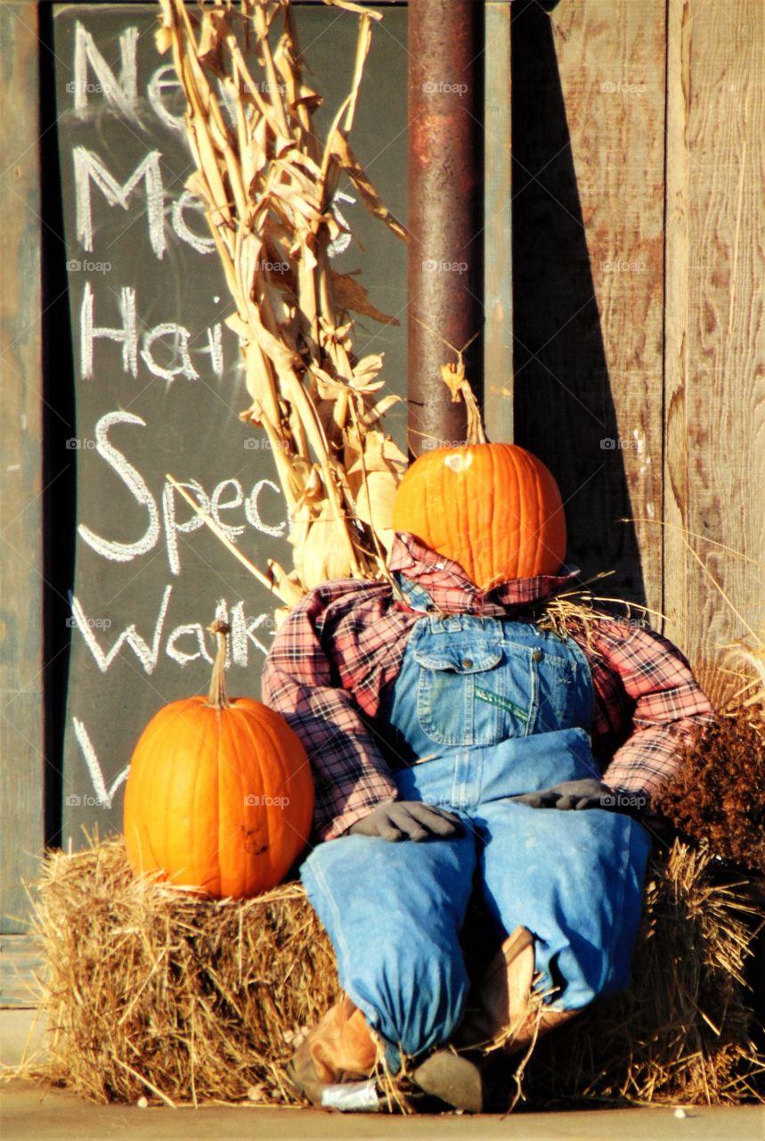 pumpkins, scarecrows, flannel, hay... All ingredients for the perfect sidewalk greeter in Autumn. The fragrance of freshly harvested fields melded with tantalizing spices, and freshly baked pies as they wafted through the evening breeze.