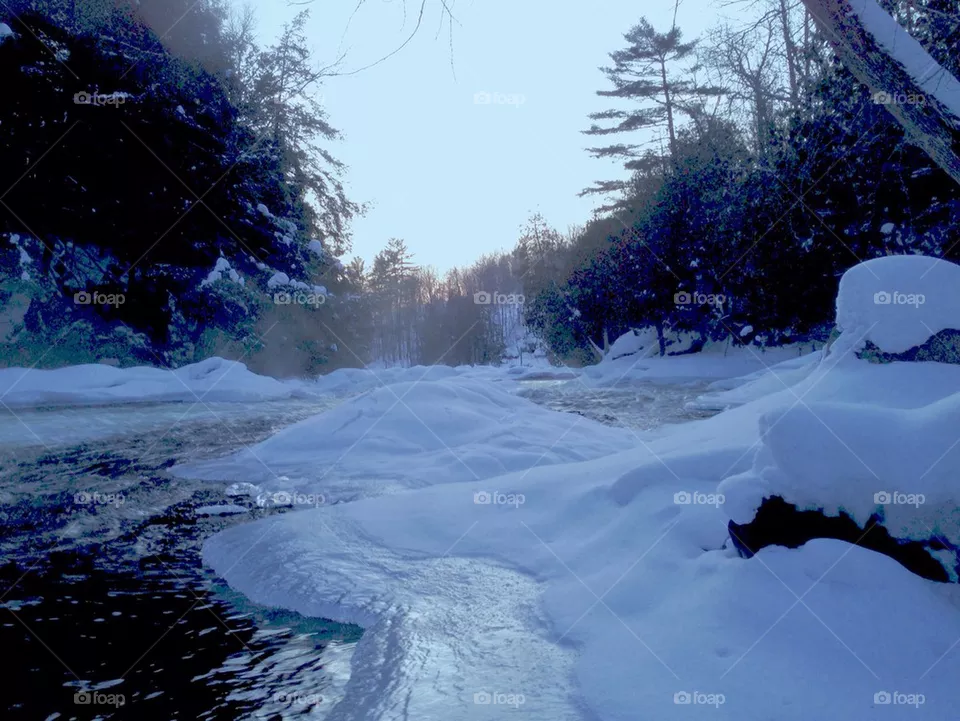Frozen